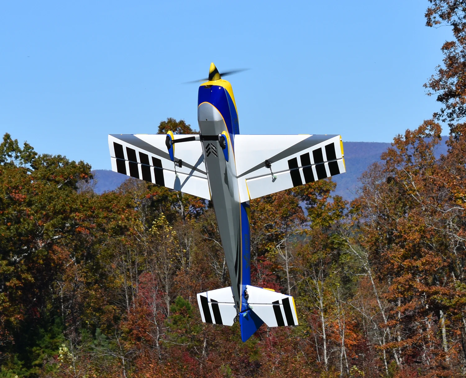 EF - 78" Edge 540 - Blue/Yellow - Image 3