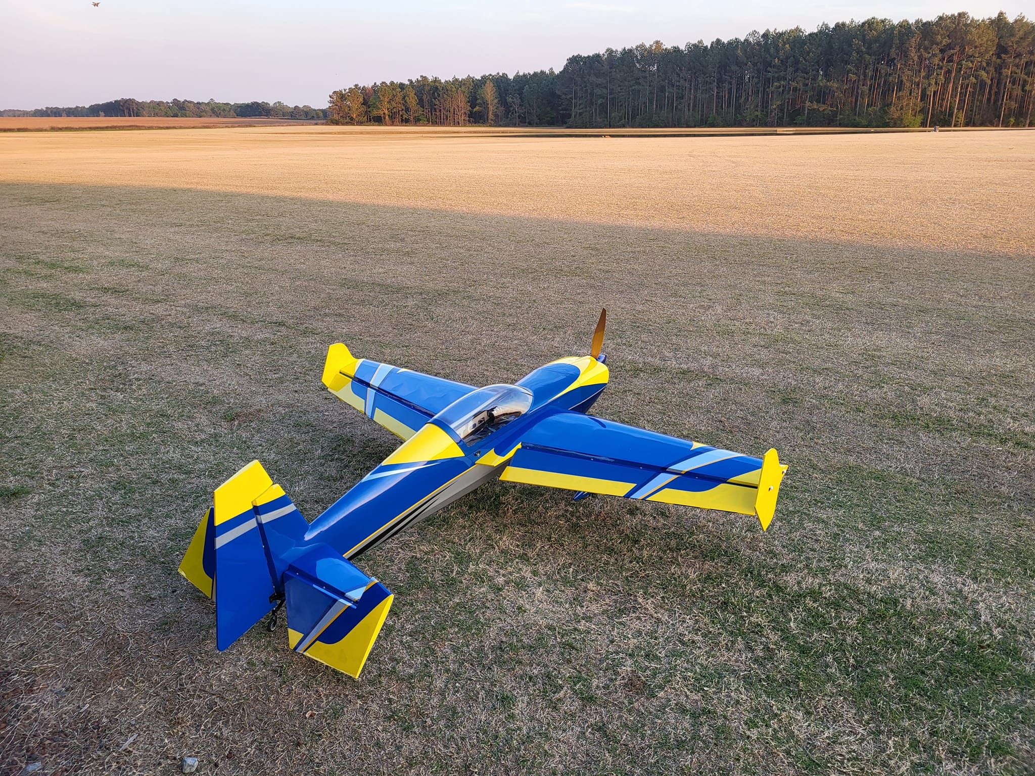 EF - 78" Edge 540 - Blue/Yellow - Image 5