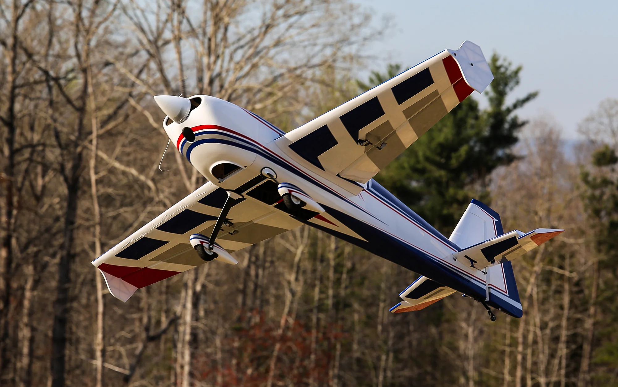 EF - 88" Extra 260 - Blue/White - Image 3